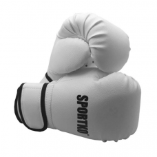 Boxing gloves SPORTKO PD2 white 6 oz